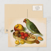 Pygmäen mit Früchten und Nuts Postkarte (Vorne/Hinten)