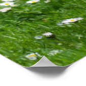 Pygmäen-Zwergziege-Kind in Blume Poster (Ecke)