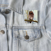 Pygmäeneule Button (Beispiel)