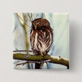 Pygmäeneule Button (Vorderseite)