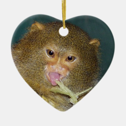 Pygmäenmarmoset-Weihnachtsverzierung Keramik Ornament (Vorne)