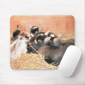 Pygmäenziege Mousepad (Mit Mouse)