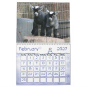 Pygmäenziegen-Babys Kalender (Feb 2027)