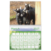 Pygmäenziegen-Babys Kalender (Mär 2027)