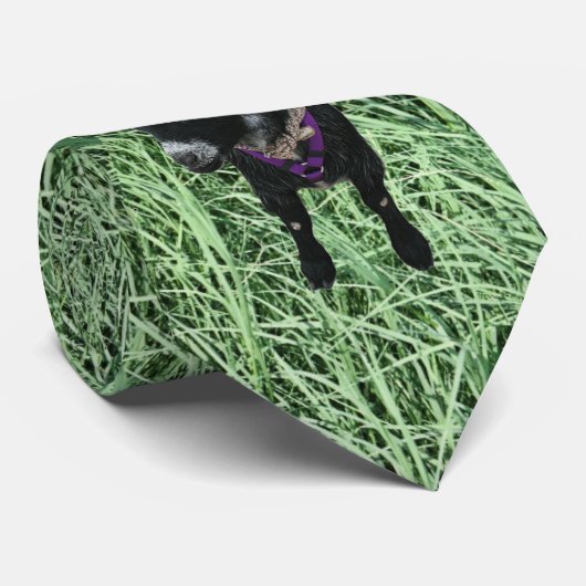 Pygmäenziegen-Krawatte Krawatte (Gerollt)