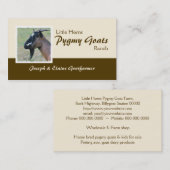 Pygmäenziegen-Visitenkarte Visitenkarte (Vorne/Hinten)