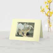 Pygmäenziegen-Zwillinge Karte (Gelbe Blume)