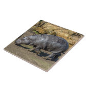 Pygmäische Hippie-Keramik Fliese (Seite)