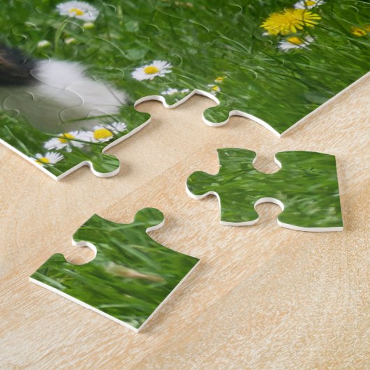 Pygmy Dwarf Goat Kid in Flowers Puzzle (Seite)