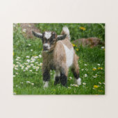 Pygmy Dwarf Goat Kid in Flowers Puzzle (Horizontal)