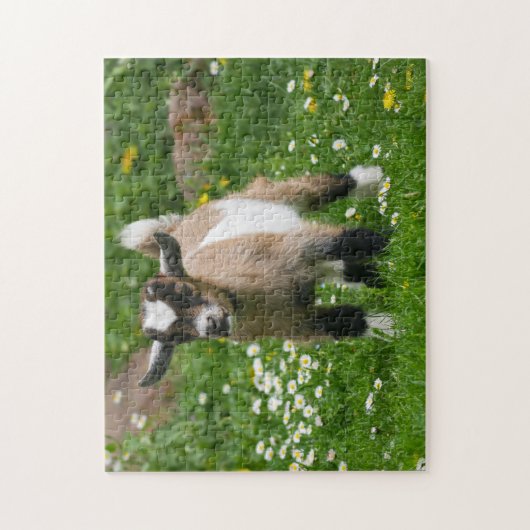 Pygmy Dwarf Goat Kid in Flowers Puzzle (Vertikal)