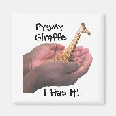 Pygmy Giraffe Magnet (Vorne)