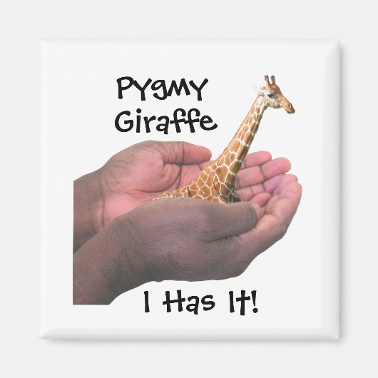 Pygmy Giraffe Magnet (Vorne)
