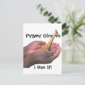 Pygmy Giraffe Postkarte (Stehend Vorderseite)