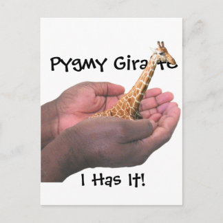 Pygmy Giraffe Postkarte