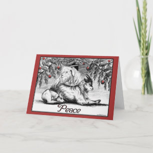 Pygmy Goat Christmas Card Peace Feiertagskarte