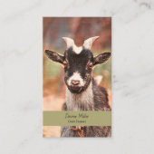 Pygmy Goat Country Farm Visitenkarte (Vorderseite)