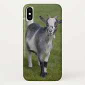 Pygmy Goat iPhone X Case (Rückseite)