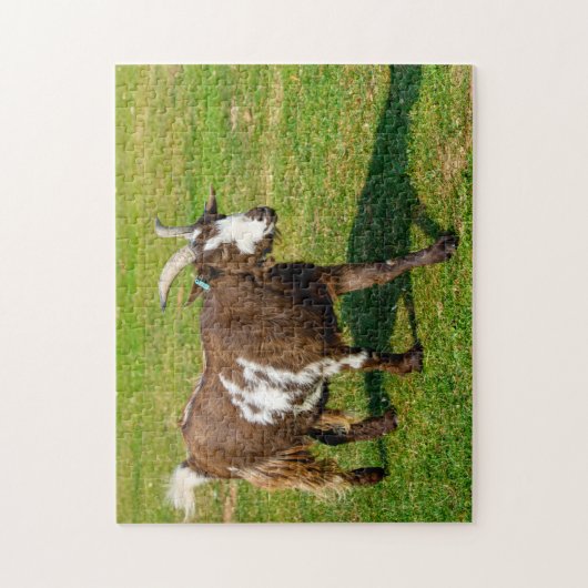 Pygmy Goat Jigsaw Puzzle (Vertikal)