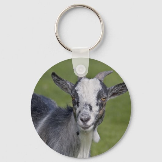 Pygmy Goat Keyring Schlüsselanhänger (Vorderseite)
