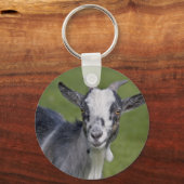 Pygmy Goat Keyring Schlüsselanhänger (Vorderseite)