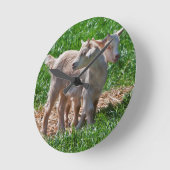Pygmy Goat Kids Clock Runde Wanduhr (Winkel)