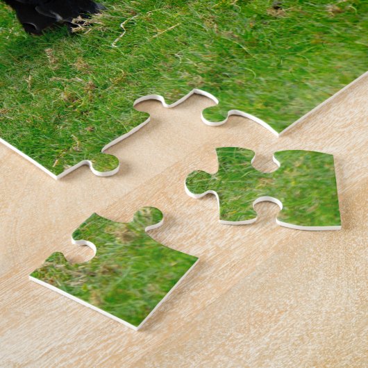 Pygmy Goat Kids Jigsaw Puzzle (Seite)