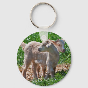 Pygmy Goat Kids Keyring Schlüsselanhänger