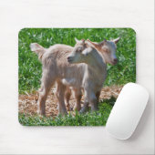 Pygmy Goat Kids Mousemat Mousepad (Mit Mouse)