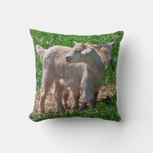 Pygmy Goat Kids Pillow Kissen