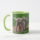 Pygmy Goat Kids Tasse (Links)