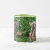 Pygmy Goat Kids Tasse (Zentrum)