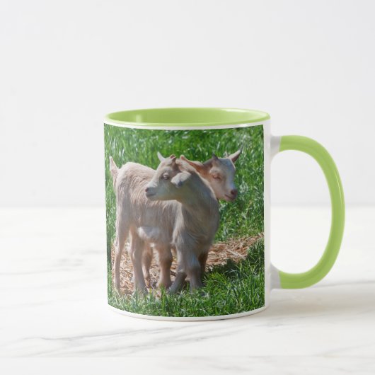 Pygmy Goat Kids Tasse (Rechts)