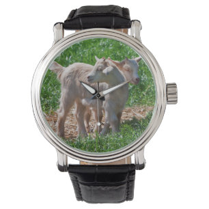 Pygmy Goat Kids Watch Armbanduhr