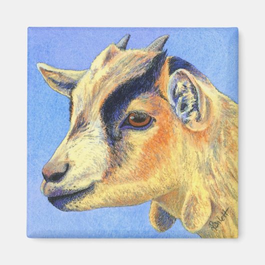 Pygmy Goat Magnet - "Sunny Goat" (Vorne)