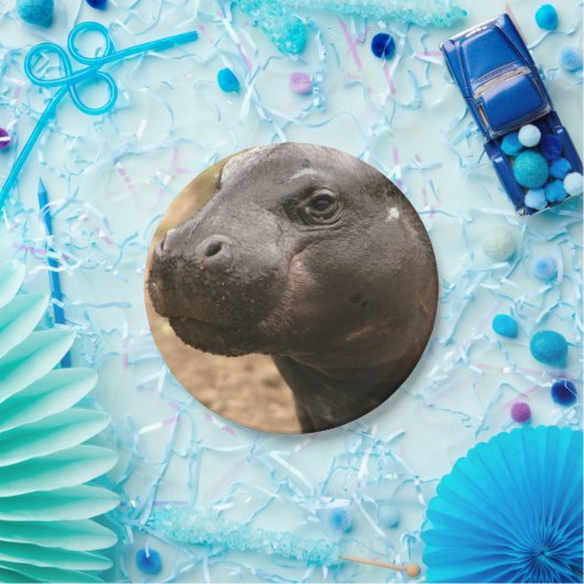 pygmy-hippo-1 pappteller (Party)