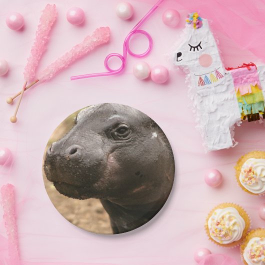 pygmy-hippo-1 pappteller (Party)