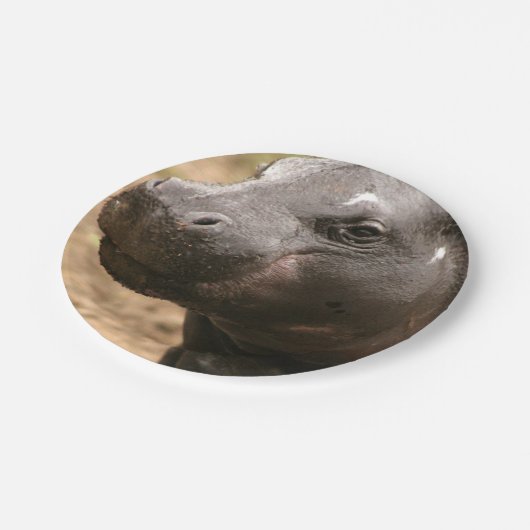 pygmy-hippo-1 pappteller (Schrägansicht)