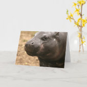 Pygmy Hippo Grußkarte Karte (Gelbe Blume)