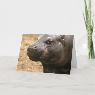 Pygmy Hippo Grußkarte Karte