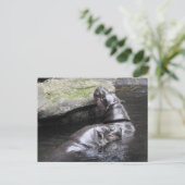 Pygmy Hippo Postcard Postkarte (Stehend Vorderseite)