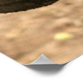 Pygmy Hippo Poster (Ecke)