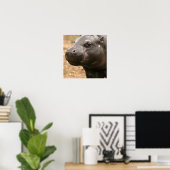 Pygmy Hippo Poster (Heimbüro)