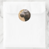 Pygmy Hippo Sticker (Tasche)