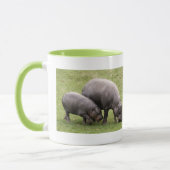 Pygmy Hippos Tasse (Links)