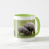 Pygmy Hippos Tasse (VorderseiteRechts)