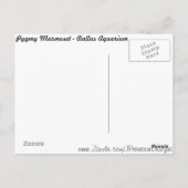 Pygmy Marmoset # 3 Postkarte (Rückseite)