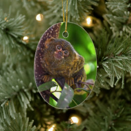 Pygmy Marmoset Magic Keramik Ornament