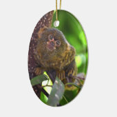 Pygmy Marmoset Magic Keramik Ornament (Links)