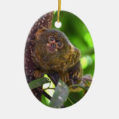 Pygmy Marmoset Magic Keramik Ornament (Vorne)